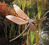 Libelle aus Kupfer